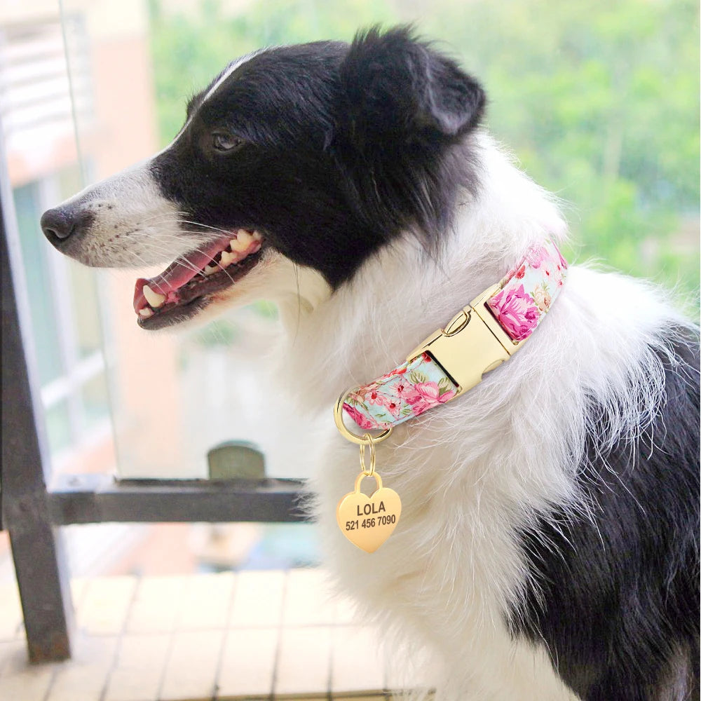 Personalized Collar