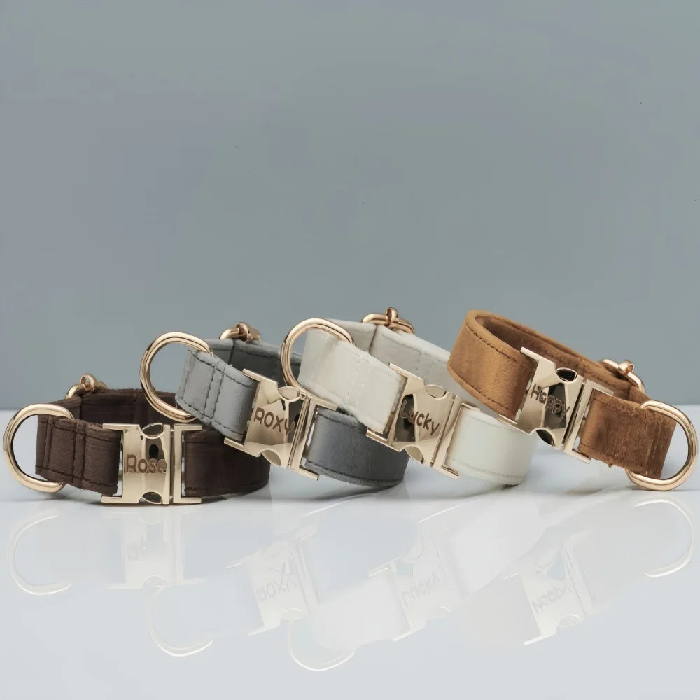 Personalized Velvet Collar