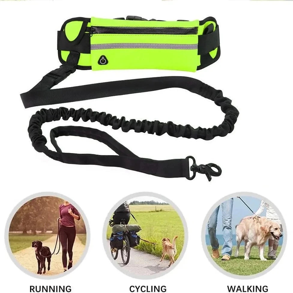 Waist Bag