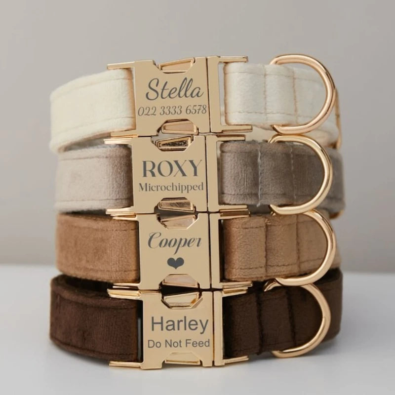 Personalized Velvet Collar