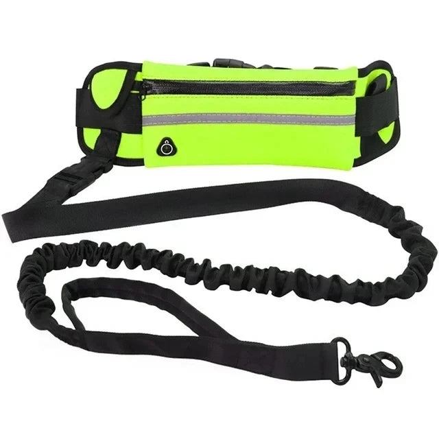 Waist Bag