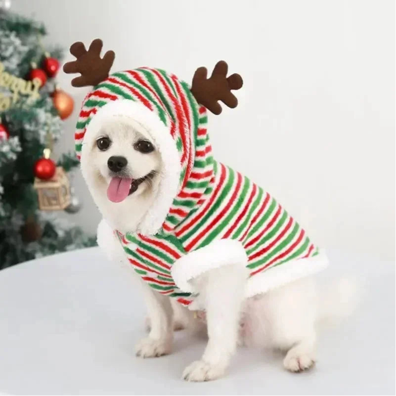 Christmas Hoodie