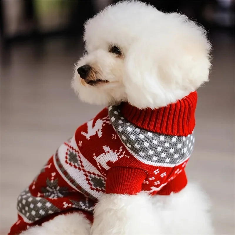 Christmas Sweater