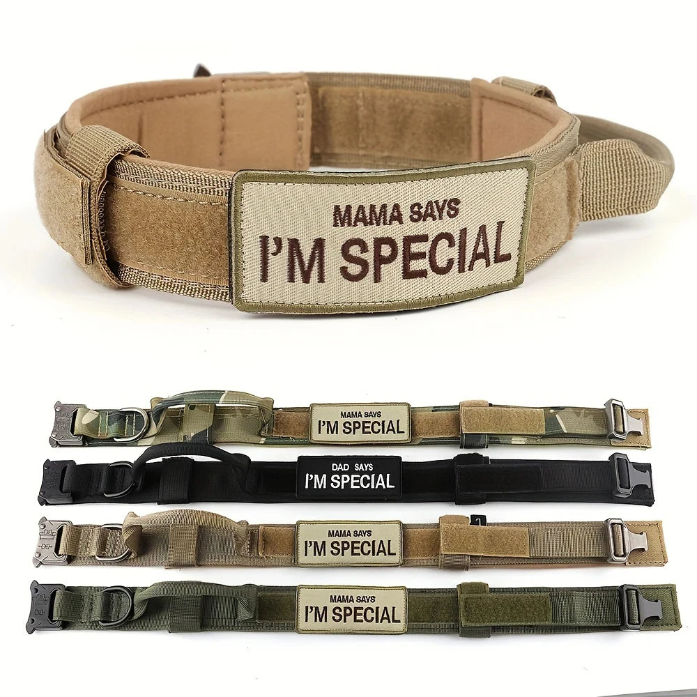 Military Collar