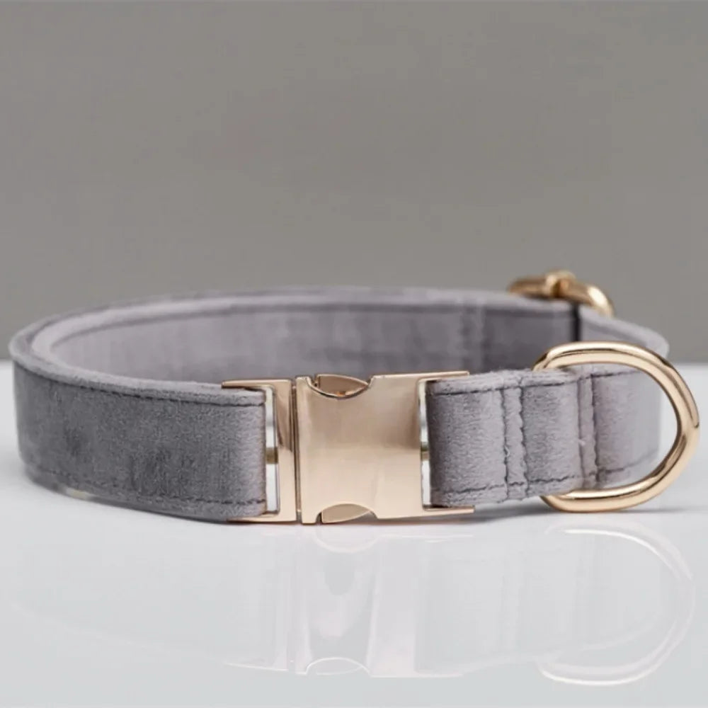 Personalized Velvet Collar