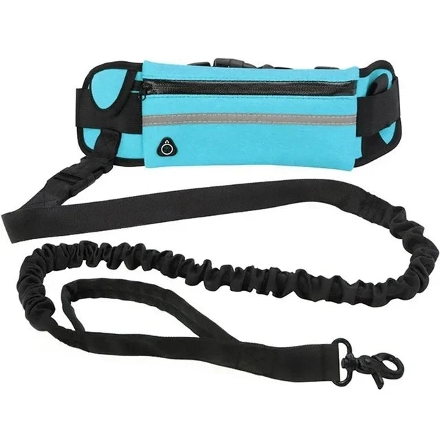 Waist Bag